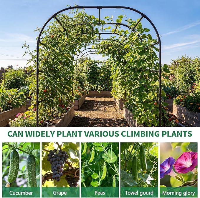 SUNYRISY Garden Arch Trellis for Climbing Plants Outdoor, 88" x 88" x 88" Metal Core Tall Archway Tunnel Plant Support for Cucumber Tomato Flowers Vegetables and Garden Gazebo