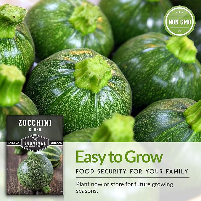 Round Zucchini Seed for Planting - Plant and Grow Small Green Zucchinis in Your Home Vegetable Garden - Non-GMO Heirloom Variety - Survival Garden Seeds (1 Pack)