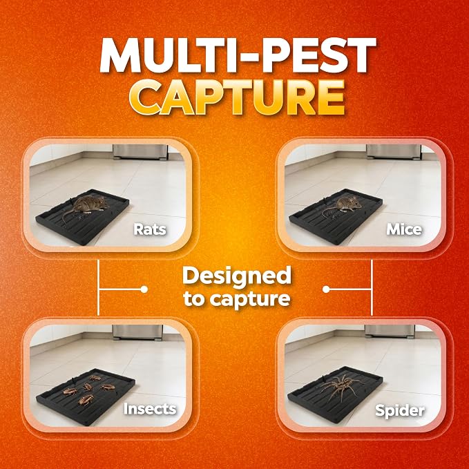 Glue trap for rats and mice, for extra large animals, without poison, non-toxic, you can release the animal just apply cooking oil. Easy to use indoor and outdoor use, Safe for people and pets