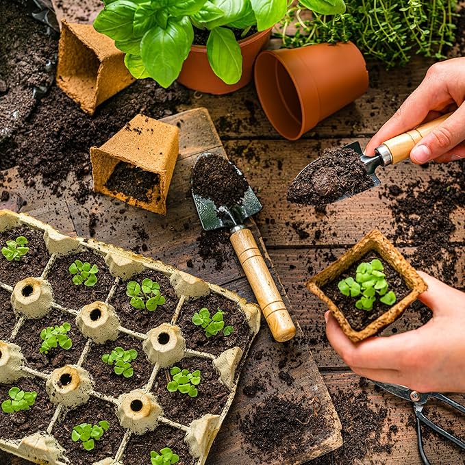 Doter Organic Vegetable Soil Mix 1qt, Indoor Plants Potting Mix for All Potted Vegetable Like Tomatoes Lettuce Bell Peppers, Grow Healthy houseplants Indoors