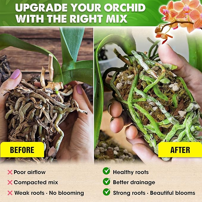 [Upgraded] DUSPRO Orchid Potting Mix for Repotting with Forest Moss, Pine Bark, Perlite & Pumice, Orchid Bark Potting Mix, Orchid Repotting Soil, Drainage Indoor Potting, Orchid Pot Not Included, 20QT