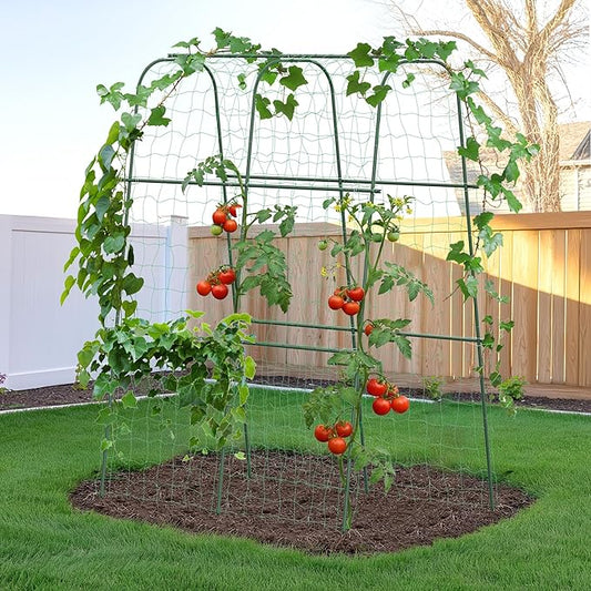 HIRALIY Cucumber Trellis for Climbing Plants Outdoor, 5.25ft Tall Heavy Duty Metal Garden Arch Trellis, Rustproof Plant Support Tunnel for Tomato, Grape, Bean, Raised Bed and Vegetable Gardens, Green
