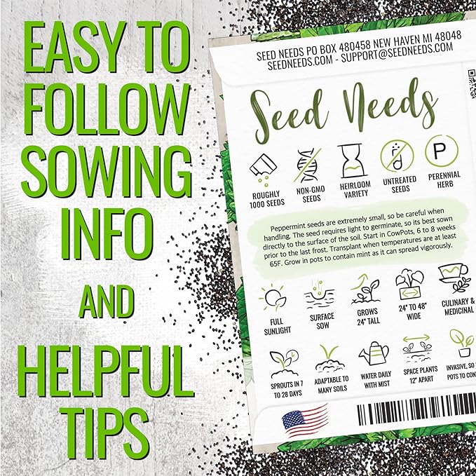 Seed Needs Peppermint Seeds for Planting - Non-GMO Heirloom & Untreated - Medicinal/Culinary Herb to Plant a Home Grown Indoor or Outdoor Garden (5 Packs)