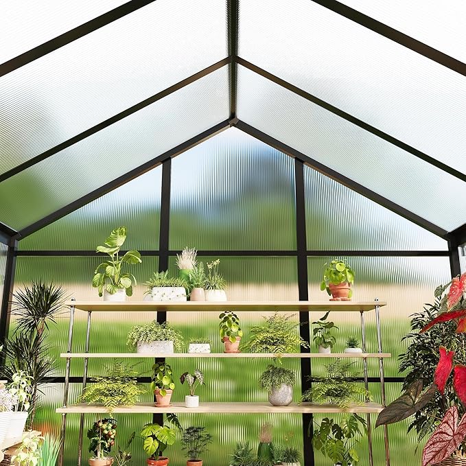 GarveeHome 6X10 FT Greenhouse for Outdoors, Walk-in Greenhouse Kit with Aluminum Frame, Polycarbonate Panels, Adjustable Roof Vent, Sliding Door, Secure Lock for Outside Garden, Patio, Backyard