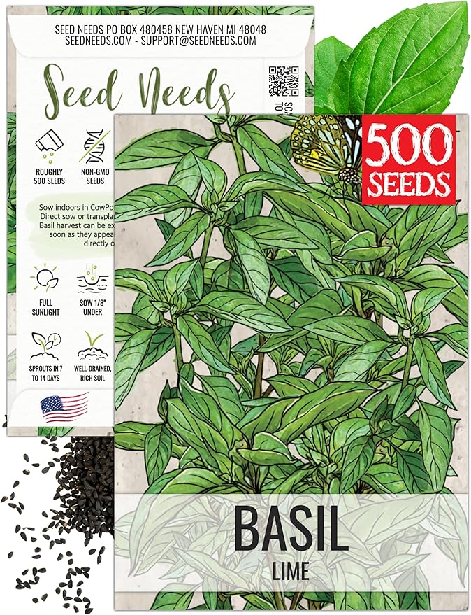 Seed Needs Lime Basil Seeds for Planting - Non-GMO Heirloom & Untreated Culinary Herb Seed to Plant an Indoor or Outdoor Home Grown Kitchen Garden (1 Pack)