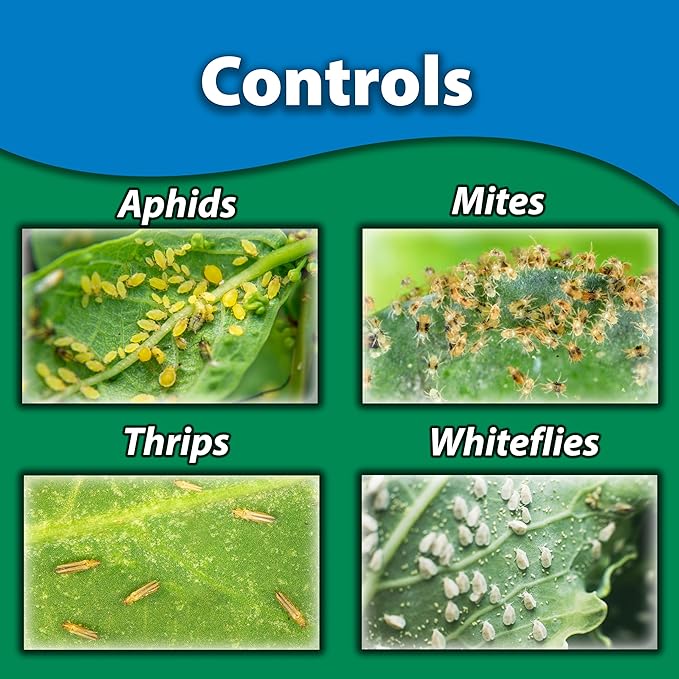 Monterey Horticultural Oil - Organic Gardening Fungicide, Insecticide, & Miticide Bundled with Measuring Spoon - Use for Aphids, Mites, Scales - 16 oz/Pint