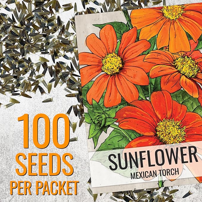 Seed Needs Mexican Sunflower Seeds for Planting Tithonia rotundifolia Flowers - Heirloom & Open Pollinated Annual Flower Seed to Plant an Outdoor Butterfly Garden (5 Packs)