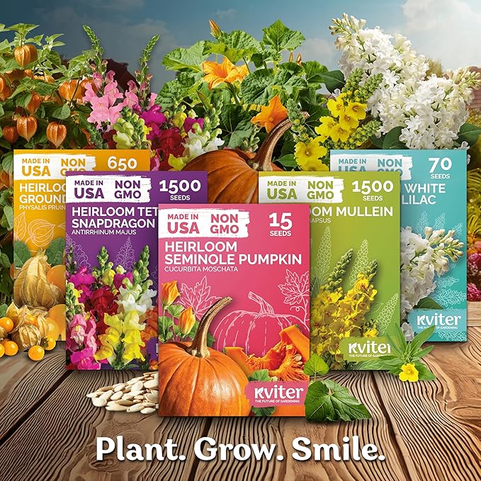 KVITER 50 Small Gourd Seeds Mix (Cucurbita Pepo) – Ornamental Fall Decor Gourds, Non GMO & Organic – Perfect Heirloom Seeds for Planting Decorative Gourds in Vegetable Garden