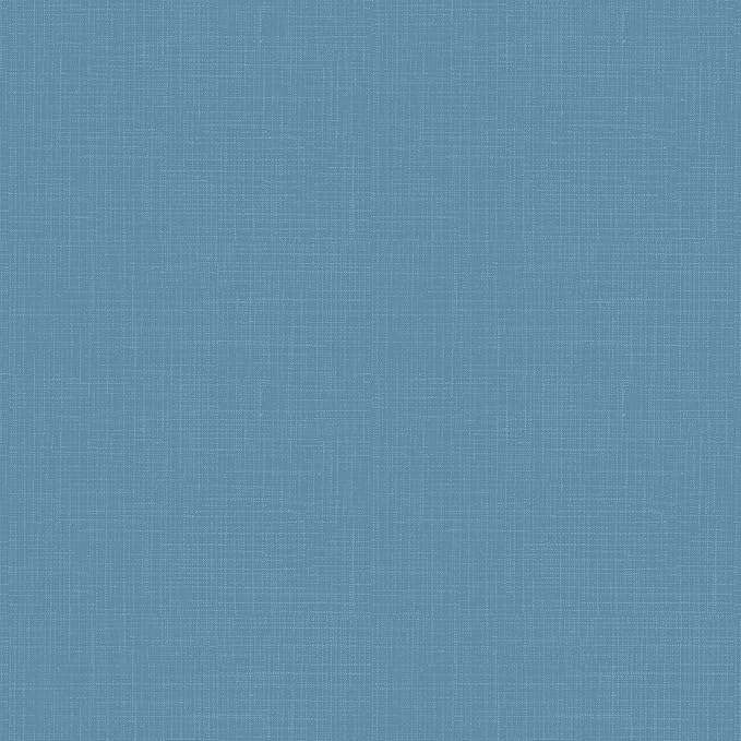 Arden 2-Pack Outdoor Patio Dining Chair Cushion, 20x44, Rain-Proof Seat Pad, Fade-Resistant Outdoor Cushion French Blue Texture