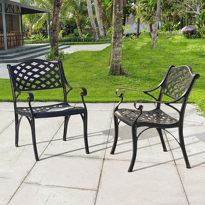 NUU GARDEN Patio Dining Chairs Set of 2, Aluminum Outdoor Indoor Patio Chairs with Arms for Garden, Backyard, Porch, Black