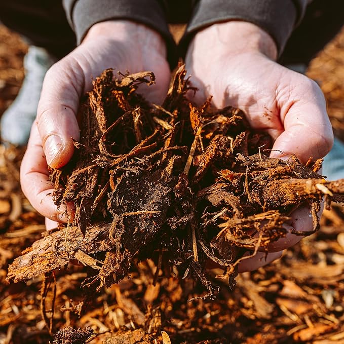GARDENWISE Premium Cypress Mulch for Landscaping, Gardens, Lawns, Reptile Bedding, and Potted Plants (1 CF - 28 L - 30 QTS)