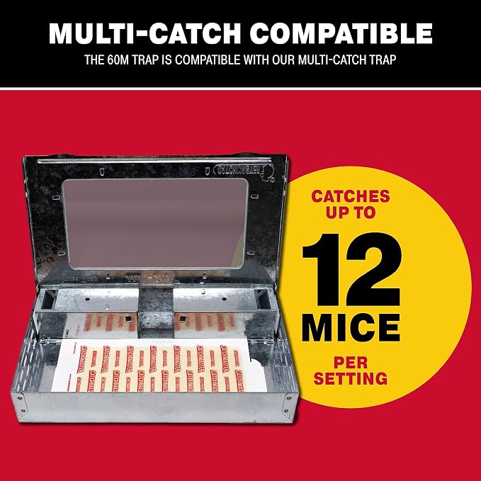 Catchmaster Pro Strength Mouse & Crawling Insect Glue Trap Set, 60-Pack & 12-Pack Sticky Pest Control Adhesive for Catching Bugs, Rats & Rodents