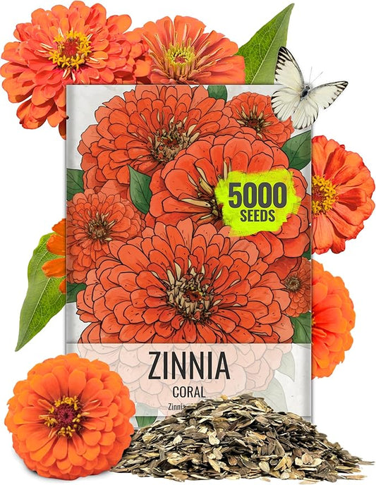 Seed Needs Zinnia Seeds Coral Variety Fast Blooming | 5,000+ Heirloom & Open Pollinated Seeds | Annual Cut Flowers Large Blooming | Bulk
