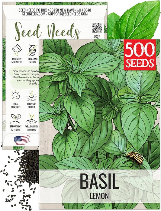 Seed Needs Lemon Basil Seeds for Planting - Non-GMO Heirloom & Untreated Culinary Herb Seed to Plant an Indoor or Outdoor Home Grown Kitchen Garden (1 Pack)