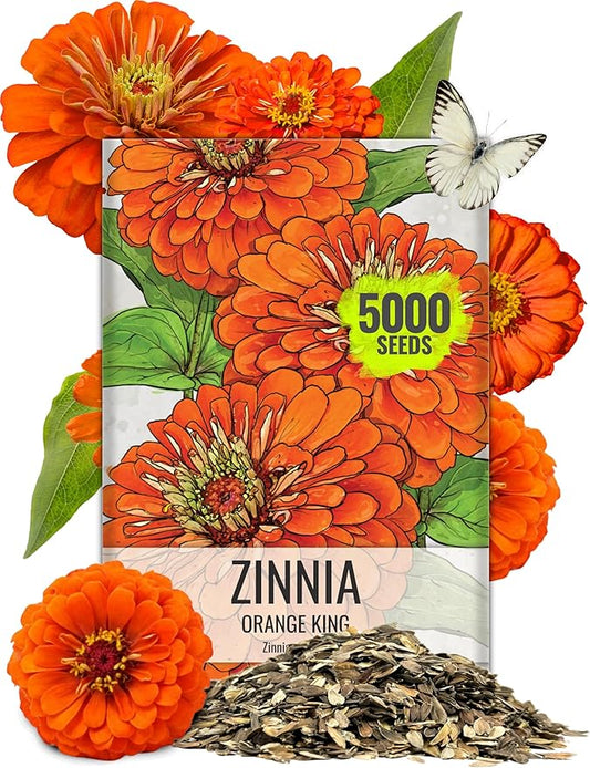 Seed Needs Zinnia Seeds Orange King Variety Fast Blooming | 5,000+ Heirloom & Open Pollinated Seeds | Annual Cut Flowers Large Blooming | Bulk