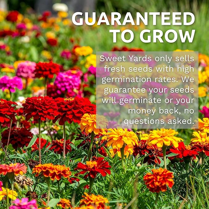 Drought Tolerant Wildflowers Mix – Bulk Quarter Pound Bag – Over 30,000 Open Pollinated Non-GMO Seeds – 21 Different Dryland Species