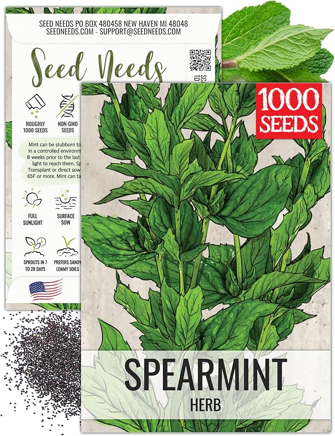 Seed Needs Mint Seeds for Planting Spearmint Herbs - Non-GMO Heirloom & Untreated Perennial Herb Seed to Plant a Home Grown Herb Garden Indoors or Outdoors (1 Pack)