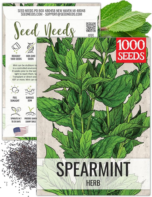 Seed Needs Mint Seeds for Planting Spearmint Herbs - Non-GMO Heirloom & Untreated Perennial Herb Seed to Plant a Home Grown Herb Garden Indoors or Outdoors (1 Pack)