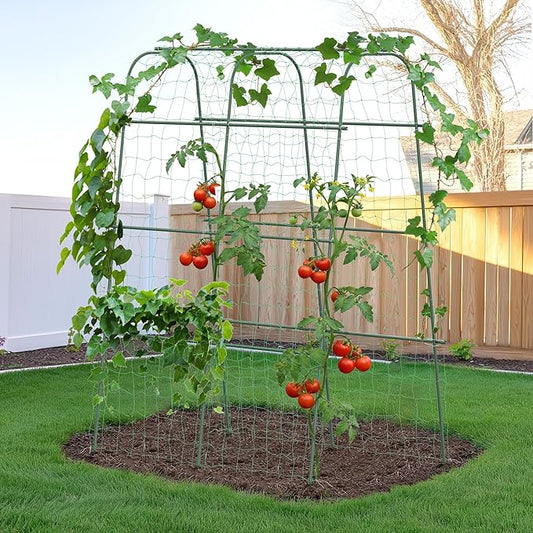 HIRALIY Cucumber Trellis for Climbing Plants Outdoor, 5.6ft Tall Heavy Duty Metal Garden Arch Trellis, Rustproof Plant Support Tunnel for Tomato, Grape, Bean, Raised Bed and Vegetable Gardens, Green
