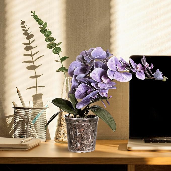 TRUEDAYS Orchid Pot – 6 Pack 5 Inch Clear Orchid Pots with Drainage Holes for Repotting – Ideal for Healthy Root Growth – Sturdy Plastic Plant Pot for Indoor & Outdoor Plants