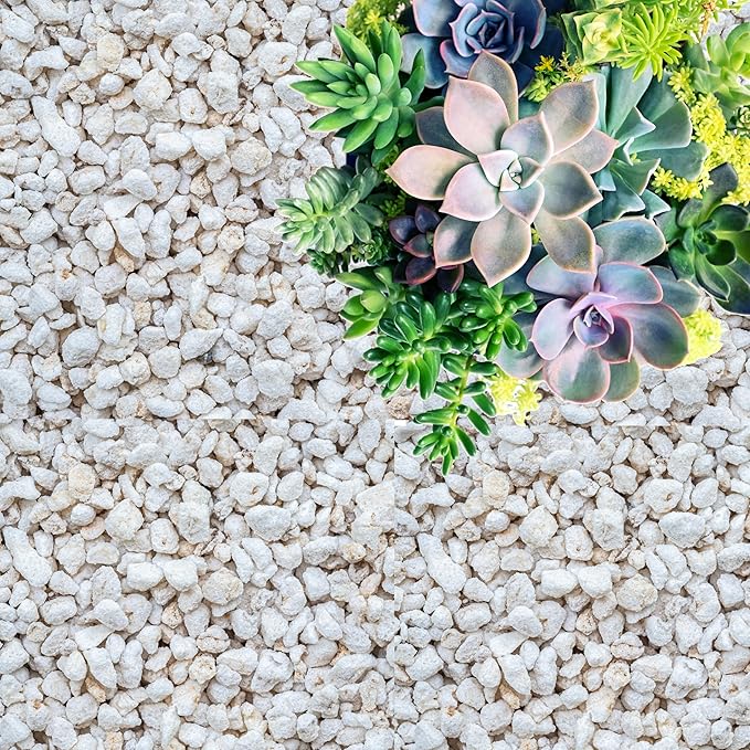 GARDENWISE Perlite for Plants, Coarse and Chunky Horticultural Perlite, Organic Perlite for Gardening Indoor & Outdoor, Perlite Bulk Bag, Made in USA (3 quarts)