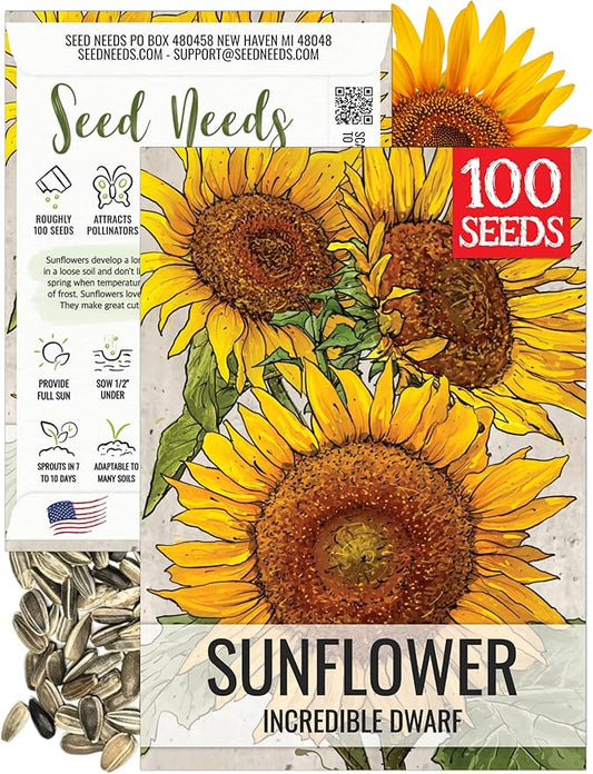 Seed Needs Dwarf Sunflower Seeds for Planting Incredible Sunflowers - Heirloom & Open Pollinated Flowers to Plant an Outdoor Wildflower Garden to Attract Beneficial Pollinators (1 Pack)