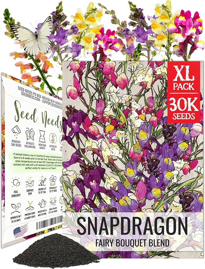Seed Need, Fairy Bouquet Snapdragon Seeds for Planting Linaria maroccana - Heirloom & Open Pollinated Annual Flowers to Attract Pollinators to a Butterfly Garden (XL Pack)