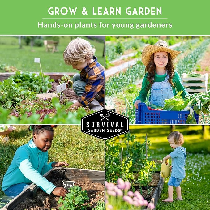 Survival Garden Seeds Kids' Easy Garden Collection - Cucumber, Radish, Beans, Peas, Lettuce, Basil Non-GMO Open Pollinated Seeds for Growing on the Homestead or in the Vegetable Garden