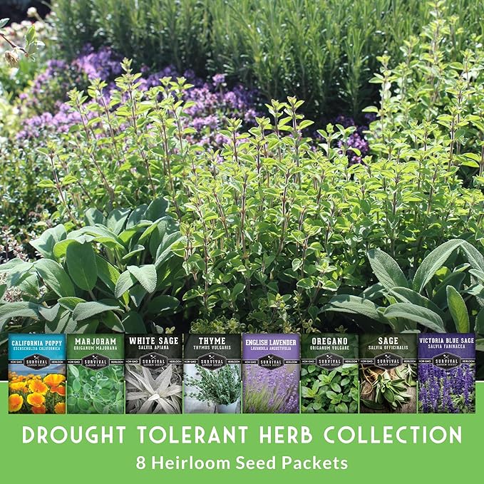 Drought-Tolerant Flower & Herb Seed Collection - 8 Packets of Seeds to Grow Drought-Resistant Plants for Growing in Xeriscape Gardens - Non-GMO Heirloom Open-Pollinated - Survival Garden Seeds