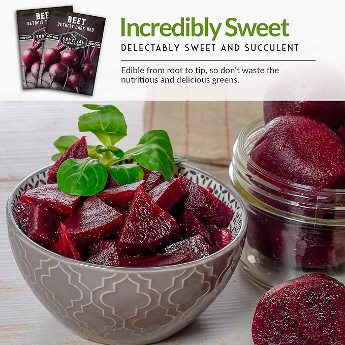 Detroit Dark Red Beet Seeds for Planting - Classic Red Beets for Garden Growing Outdoors, High Yield Heirloom Beetroot, Non-GMO Open Pollinated - Survival Garden Seeds (1 Pack)