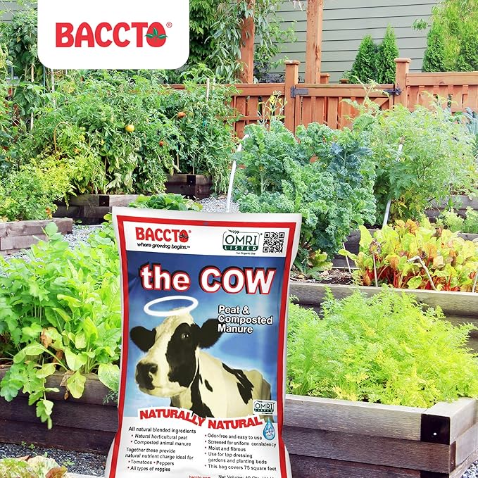 Michigan Peat Baccto 1640 Wholly Cow Horticultural Compost and Manure for Soil Amendment, Lawn Care, & Garden Beds, 40 Quart Bag (2 Pack)