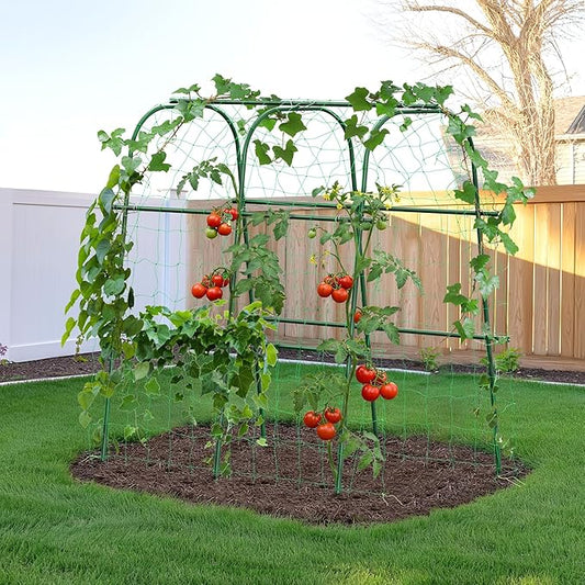 HIRALIY Cucumber Trellis for Climbing Plants Outdoor, 4ft Tall Heavy Duty Metal Garden Arch Trellis, Rustproof Plant Support Tunnel for Tomato, Grape, Bean, Raised Bed and Vegetable Gardens, Green