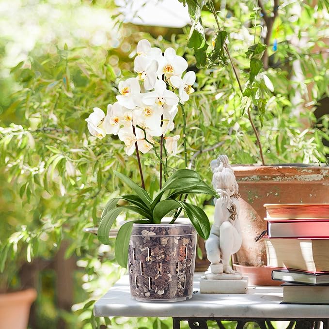 TRUEDAYS Orchid Pot – 4 Pack 6 Inch Clear Orchid Pots with Drainage Holes for Repotting – Ideal for Healthy Root Growth – Sturdy Plastic Plant Pot for Indoor & Outdoor Plants
