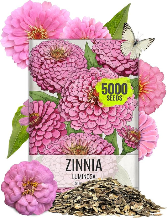 Seed Needs Zinnia Seeds Luminosa Pink Variety Fast Blooming | 5,000+ Heirloom & Open Pollinated Seeds | Annual Cut Flowers Large Blooming | Bulk