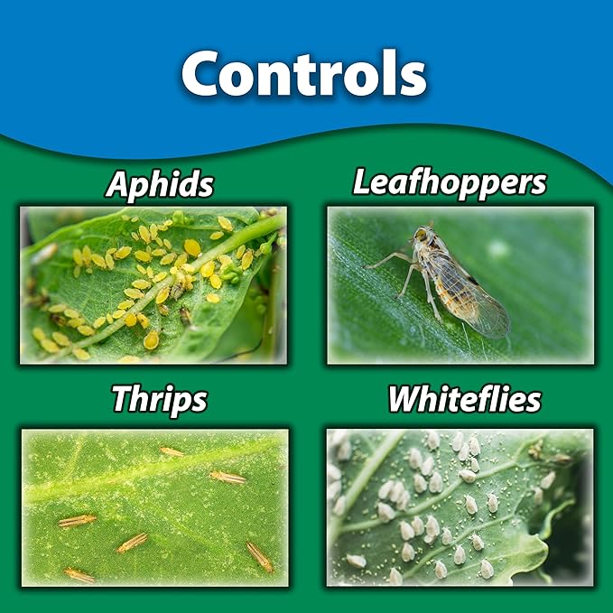 Monterey Fruit Tree & Vegetable Systemic Soil Drench Bundled with Garden Measure Spoon, Apply Once for Season Long Control, Imidacloprid Systemic Insecticide - 1 Quart