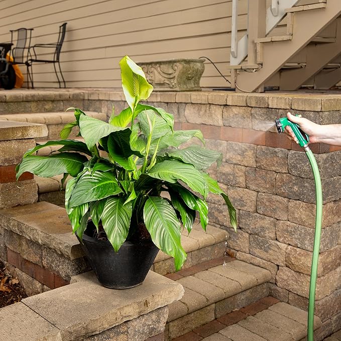 Rain Bird C06505 Pistol Grip Rear Trigger Garden Hose Nozzle, Durable Zinc Metal Body, 5-Pattern, Green