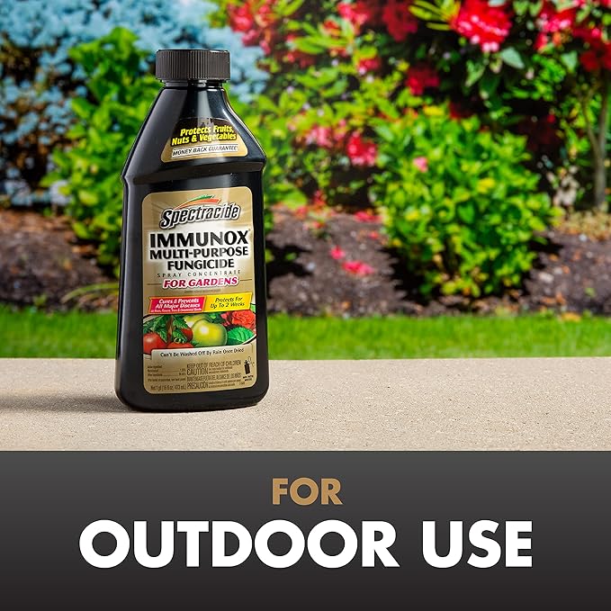 Spectracide Immunox Multi-Purpose Fungicide Spray Concentrate For Gardens 16 Ounces, Protects Up To 2 Weeks, Pack of 6
