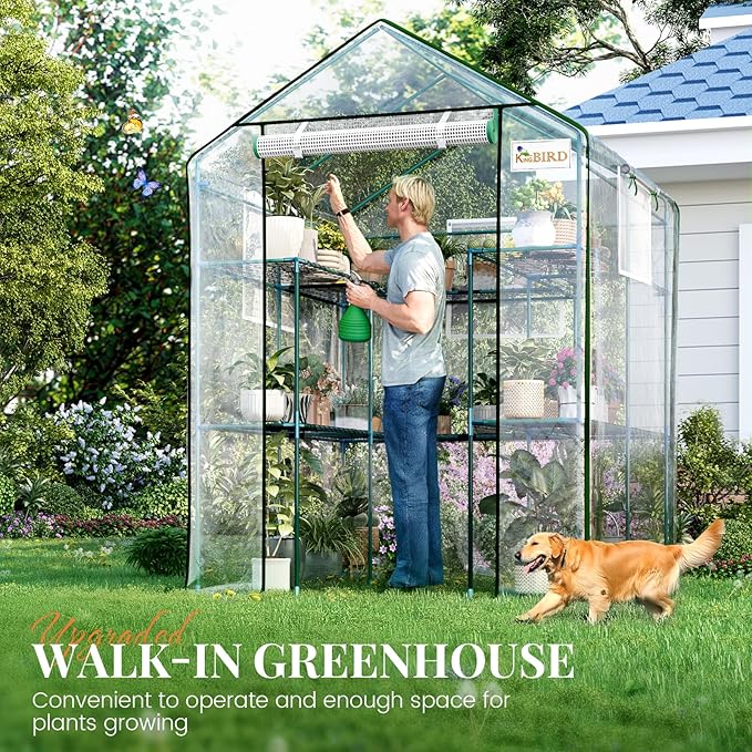 KING BIRD Premium Greenhouse for Outdoors, 56x56x77 Upgraded PVC Cover & Heavy Duty Steel Frame Walk-in Portable Green House for Outside Garden, Screen Windows & Mesh Door, 3 Tiers 10 Shelves, Clear