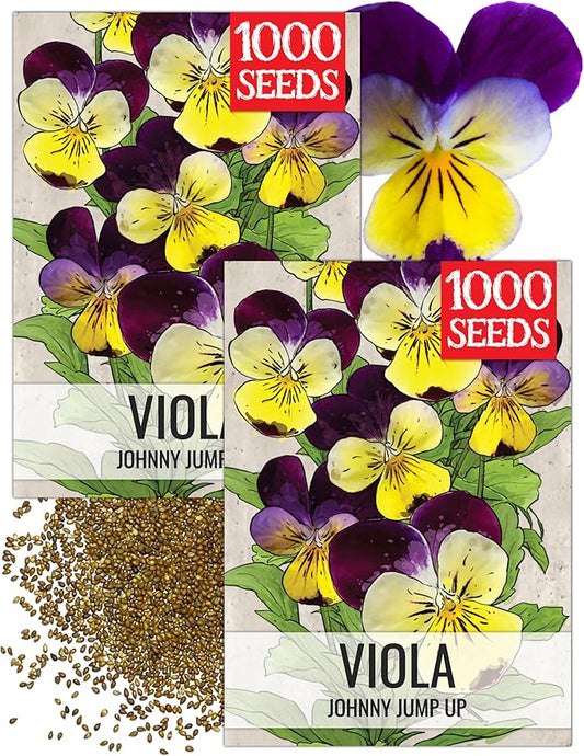 Seed Needs Johnny Jump Up Seeds for Planting Helen Mount Violas - Heirloom & Open Pollinated Flower Seed to Plant an Outdoor Flower Garden - Perfect for Borders, Pots & Containers