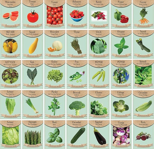 Set of 35 Premium Variety Herbs and Vegetables - Deluxe Garden Choices for Premium Gardening! (35 Liberty Garden Premium Vegetable)