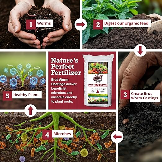 Brut Worm Farms 2-Pack Organic Worm Castings Fertilizer, 30 lb - Natural Soil Amendment for Plants, Potting Mixes, Indoor and Outdoor Gardens, Vegetables, and Lawns