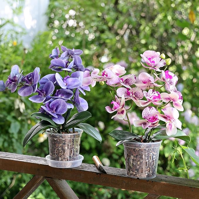 TRUEDAYS Orchid Pot with Saucers – 4 Pack 6 Inch Clear Orchid Pots with Drainage Holes for Repotting – Ideal for Healthy Root Growth – Sturdy Plastic Plant Pot for Indoor & Outdoor Plants