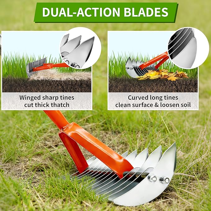 TCBWFY Thatch Rake for Lawn,15" Dethatcher Rake,Heavy-Duty Metal Thatching Rake,68" Adjustable Manual Dethatcher with 19 Tines,Dead Grass Remover Tool for Yards and Gardens