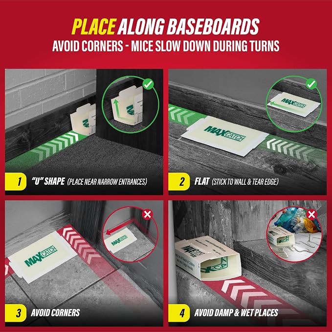 Catchmaster Max-Catch Glue Traps 36pk, Sticky Mouse Traps Indoor for Home | Bulk glue boards for mice & insects, pesticide-free sticky traps for spiders, crickets & roaches, home & garage pest control