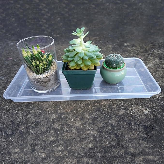 VUWEZ 2 Pack Plastic Plant Saucer, Rectangular, Indoors Outdoor, Water Drip Tray for Flower Pot, Windowsill (5.5 x 10 Inch, Clear)
