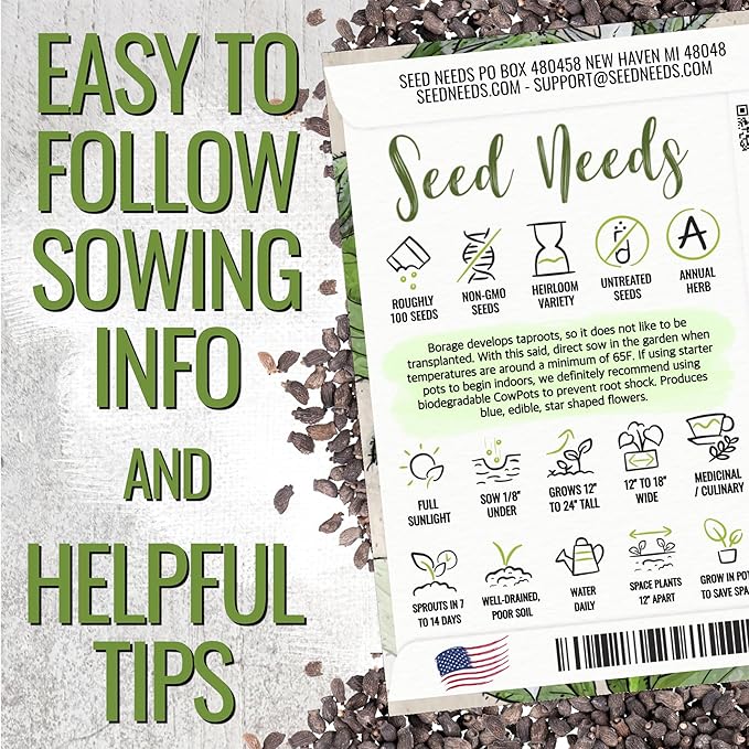 Seed Needs Borage Seeds for Planting White Borago officinalis Starflower - Non-GMO Heirloom & Untreated Herb Seed to Plant and Grow an Outdoor Home Grown Garden (2 Packs)
