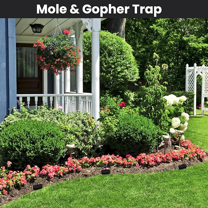 Qualirey 2 Pack Black Hole Gopher Trap 6.7 Inch Tunnel Mole Traps Gopher Killer Outdoor Vole Traps Rodent Rat Stations Reusable for Lawn Yard Garden