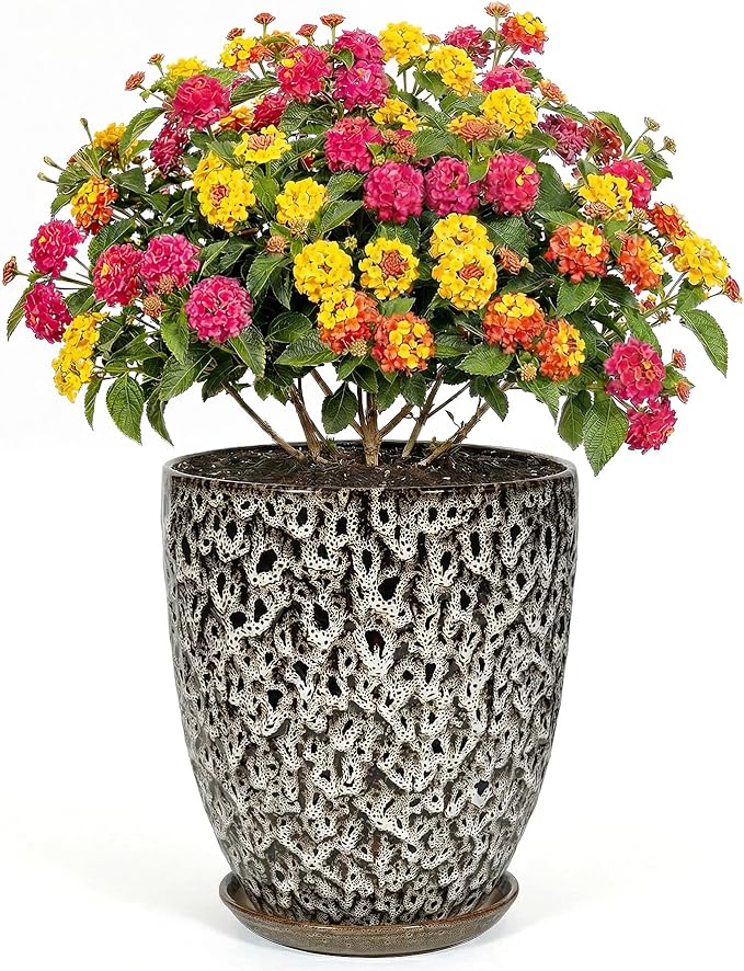 9.5 Inch Flower Pots for Indoor Plants,Ceramic Planter with Saucer Drainage Leak-Proof Mesh Gardening Gloves (Spotted White)