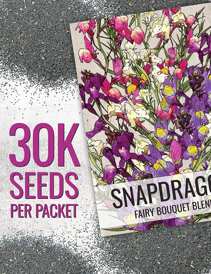 Seed Need, Fairy Bouquet Snapdragon Seeds for Planting Linaria maroccana - Heirloom & Open Pollinated Annual Flowers to Attract Pollinators to a Butterfly Garden (XL Pack)