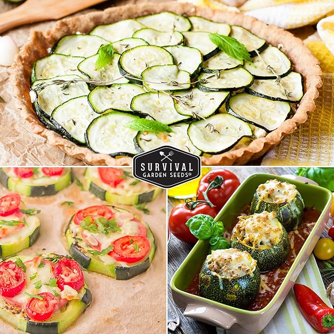 Survival Garden Seeds - Round Zucchini Seed for Planting - 3 Packs with Instructions to Plant & Grow Small Green Zucchinis in Your Home Vegetable Garden - Non-GMO Heirloom Variety - Seed Vault